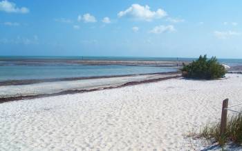 Curry Hammock State Park Beach - USA