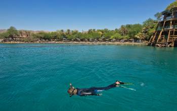 Dolphin Reef Beach - Israel