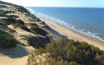 Playa de Castilla - Spain