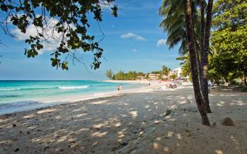 Dover Beach - The Caribbean