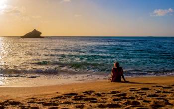 Eden Beach - The Caribbean