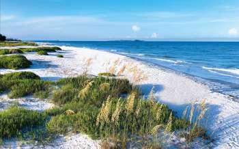 Fort De Soto Park Beach - USA