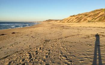 Fort Ord Dunes State Park Beach - USA