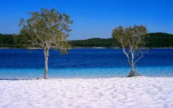 Fraser Island Beach - Australia
