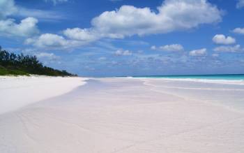 French Leave Beach - The Caribbean