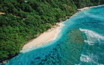 Green Bowl Beach - Indonesia