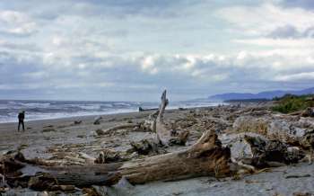 Haast Beach - New Zealand