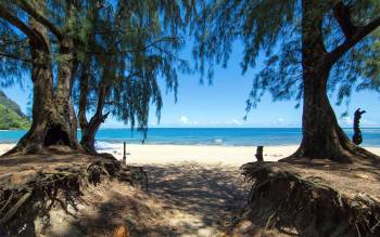 Ha'ena Beach - USA