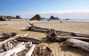 Harris Beach - USA