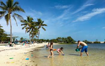 Harry Harris Park Beach - USA