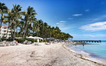 Higgs Beach (Key West)