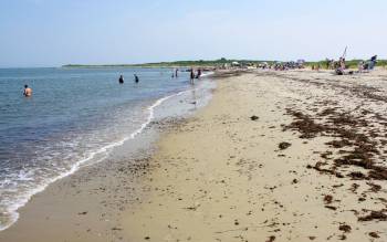 Horseneck Beach - USA