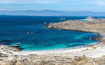 Isla Damas Beach - Chile