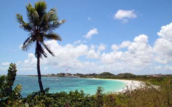 Jabberwock Beach - The Caribbean