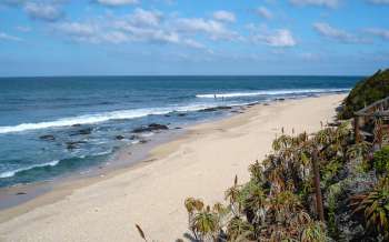 Jeffreys Bay - South Africa