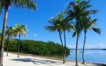 John Pennekamp State Park Beach - USA