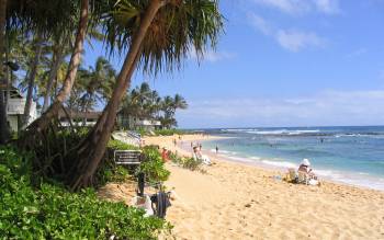 Kiahuna Beach - USA