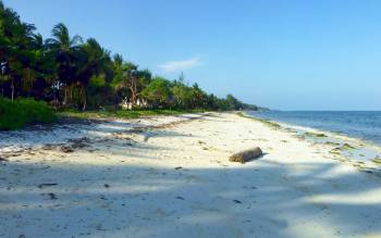 Kikambala Beach Mombasa Kenya World Beach Guide