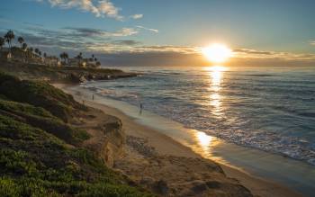 La Jolla Cove - USA