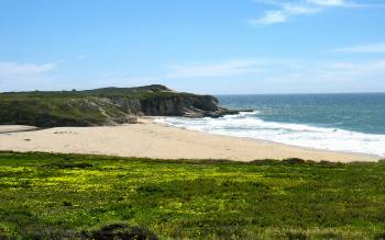 Laguna Creek Beach