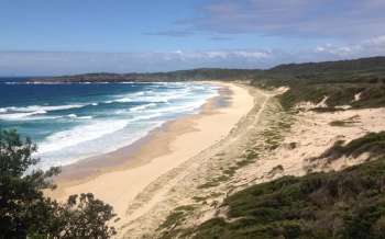 Lighthouse Beach - Australia