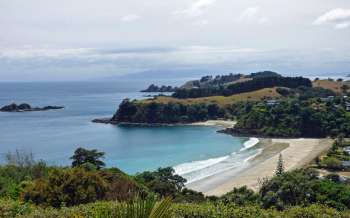 Little Palm Beach - New Zealand