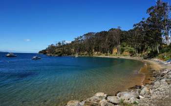 Lonnekers Beach - New Zealand