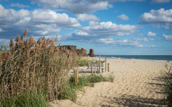 Lucy Vincent Beach - USA