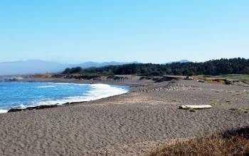 MacKerricher State Park – Main Beach - USA