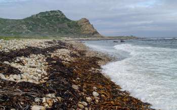 Maclear Beach - South Africa