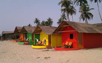 Mandrem Beach - India