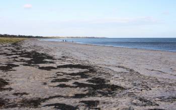 Marielyst strand - Denmark