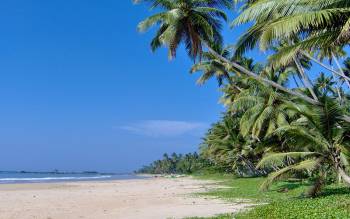 Matara Beach - Sri Lanka