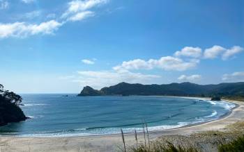 Medlands Beach - New Zealand