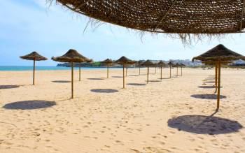 Meia Praia Beach - Portugal