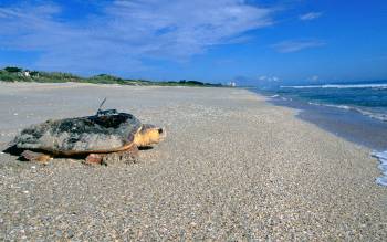 Melbourne Beach - USA