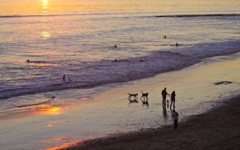 Mitchell Cove Beach - USA