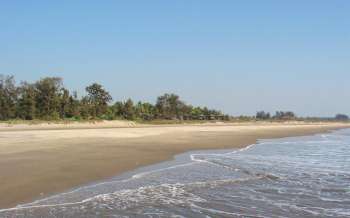 Morjim Beach - India