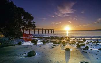 Murrays Bay - New Zealand