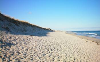 Nauset Beach