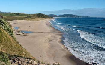 Ocean Beach - New Zealand