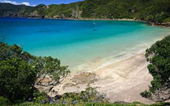 Oke Bay - New Zealand