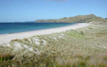 Otama Beach - New Zealand