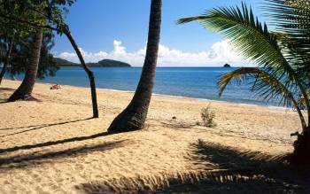 Palm Cove - Australia