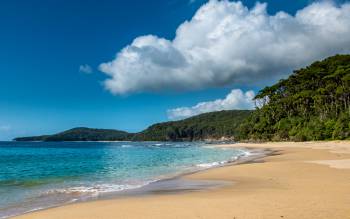 Pebbly Beach - Australia