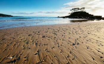 Pebbly Beach - Australia