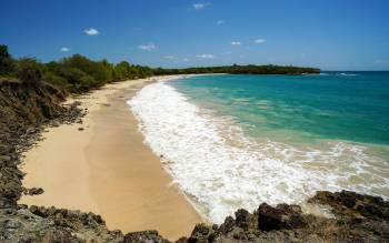 Petite Anse de Salines Beach - The Caribbean