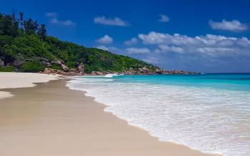 Petite Anse Beach - Seychelles