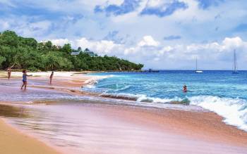 Pigeon Point Beach - The Caribbean