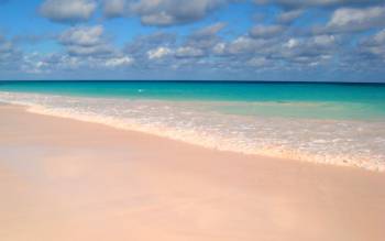 Pink Sands Beach - The Caribbean